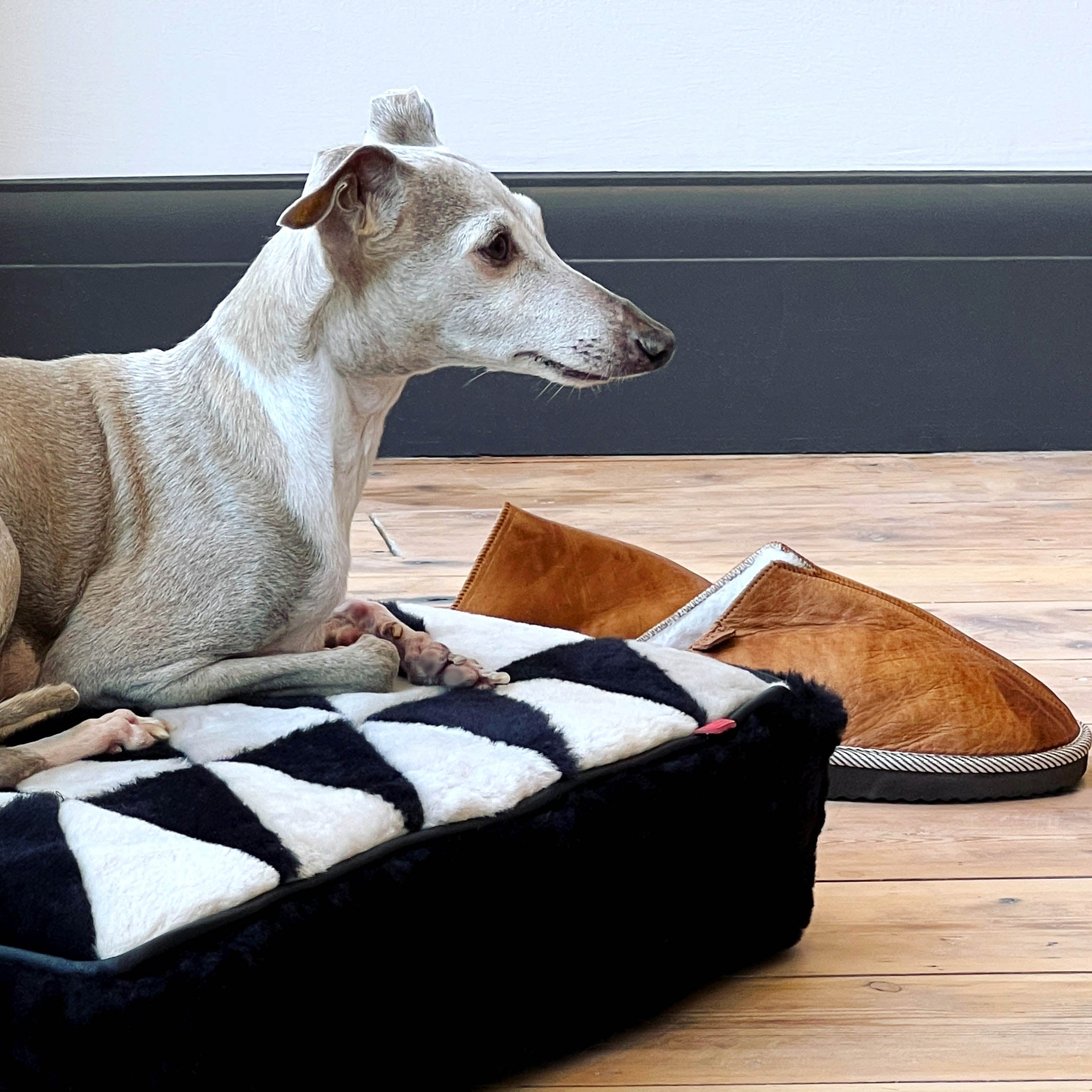TRIANGLE FLOOR CUSHION COVER / Square