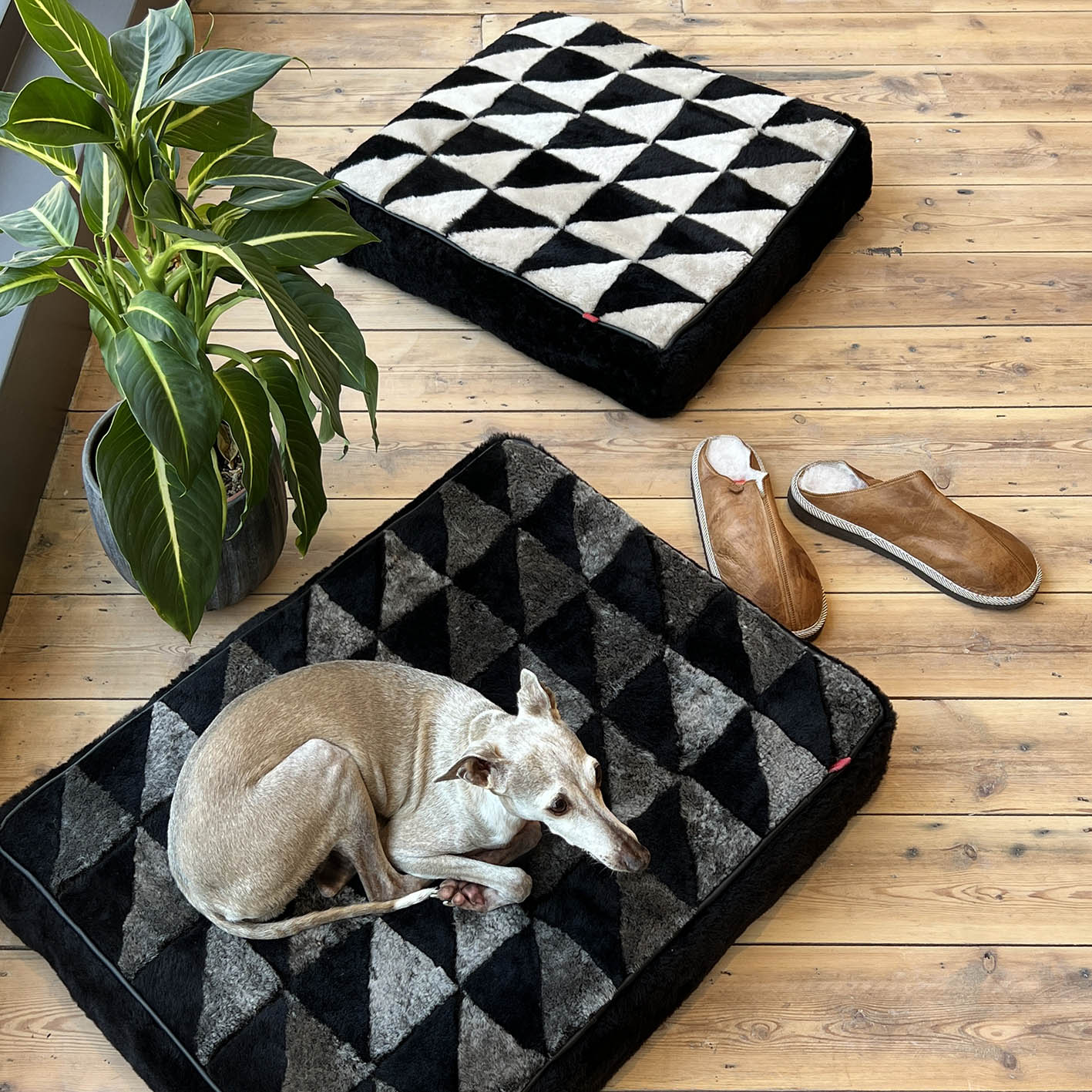 TRIANGLE FLOOR CUSHION COVER / Square